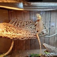 Hal- és Hüllőtartás