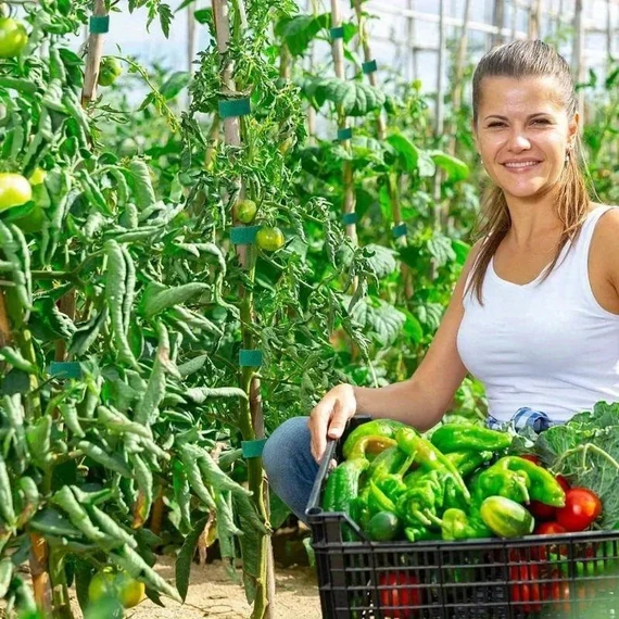 5 m-es tekercs prémium újrafelhasználható nejlon növényi kötőelem