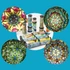 Kép 5/7 - Kaleidoszkóp