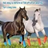 Kép 2/5 - 4db Horses Fly Boots szett, Légáteresztő műanyag ló lábszárvédő