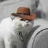 Kép 3/10 - Macska-cowboy Sapka