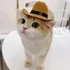 Kép 5/10 - Macska-cowboy Sapka