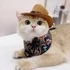 Kép 6/10 - Macska-cowboy Sapka