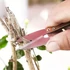 Kép 2/8 - Precíziós Bonsai Metszőolló - Rozsdamentes Acél Kerti Olló Növényekhez, Virágokhoz és Rügyekhez
