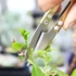 Kép 6/8 - Precíziós Bonsai Metszőolló - Rozsdamentes Acél Kerti Olló Növényekhez, Virágokhoz és Rügyekhez