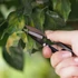 Kép 7/8 - 5 darabos Ergonomikus Kerti Szerszámkészlet Rozsdamentes Acél Metszőollóval, Magas Minőségű Pengékkel és Tárolótáskával