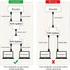 Kép 5/10 - 2db Ethernet Előfeszítő Csatlakozó
