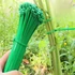 Kép 3/6 - 200db Erős Zöld Nylon  Növénykötő
