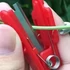 Kép 7/8 - Mini kertészeti metsző kés