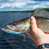 Kép 4/10 - Topwater horgászcsali 2 háromszögű horoggal